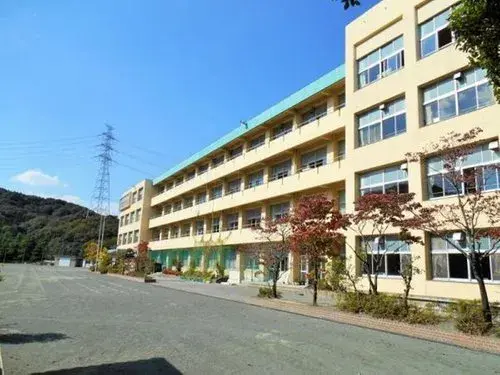 Slide 4
