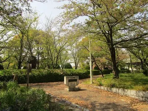 Slide 24