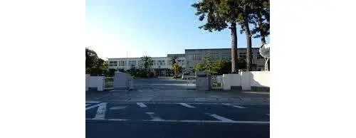 Slide 8