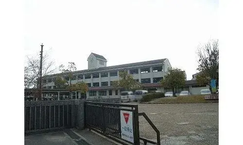 Slide 4