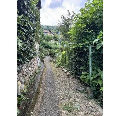 Slide 9