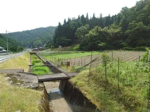 Slide 4