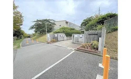 Slide 5
