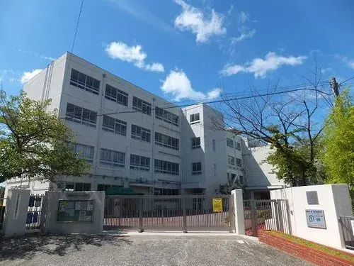 Slide 3