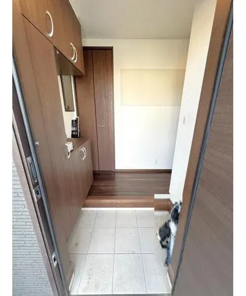 Slide 7
