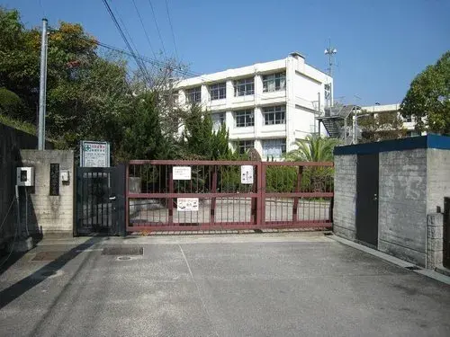 Slide 6