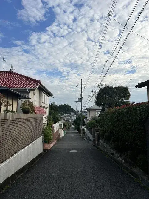 Slide 3