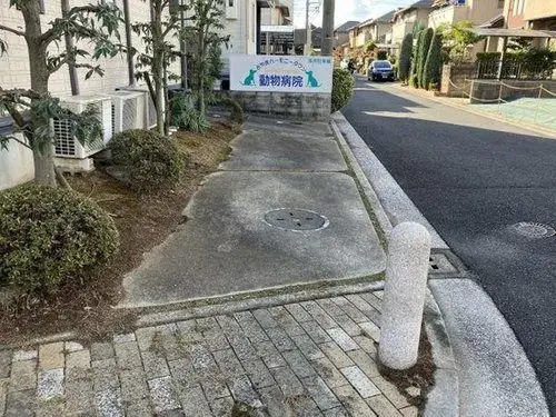 Slide 8