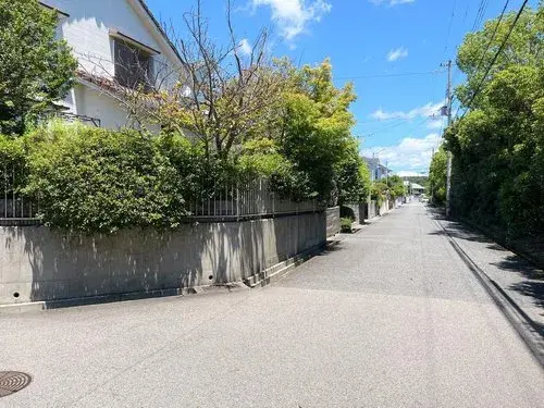 Slide 5