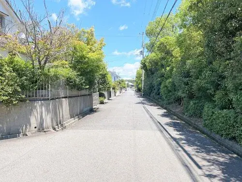 Slide 7