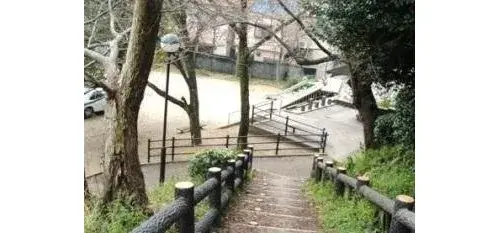 Slide 0