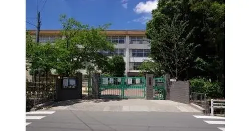 Slide 4