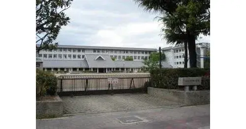Slide 5