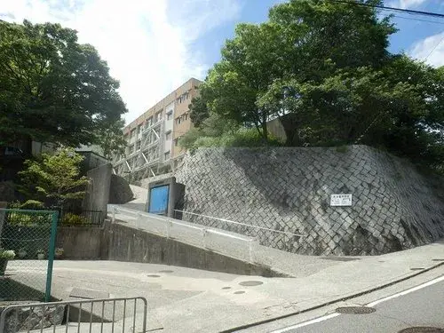 Slide 1