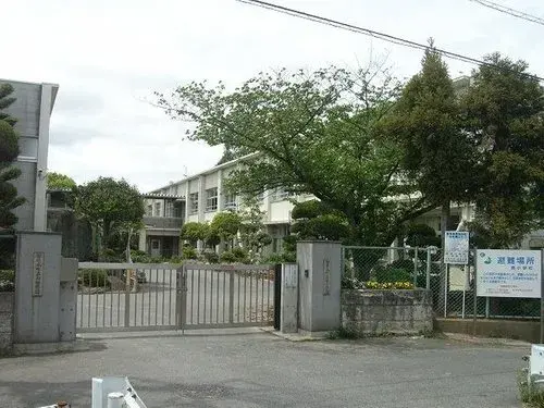 Slide 0