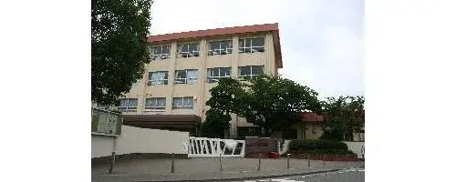 Slide 5