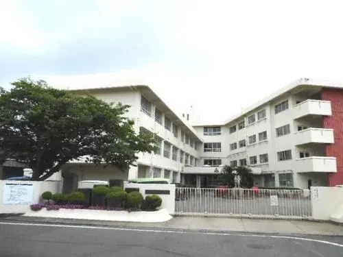 Slide 6