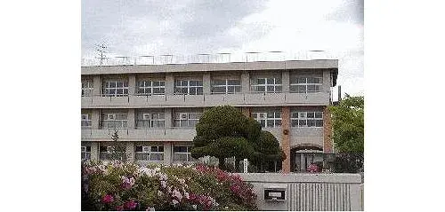 Slide 6