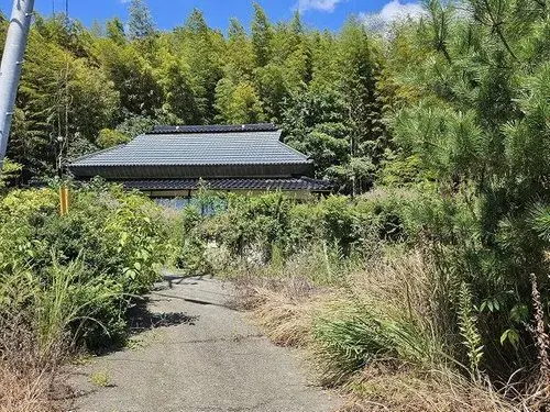 Slide 4