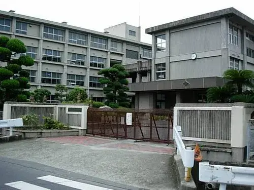 Slide 17