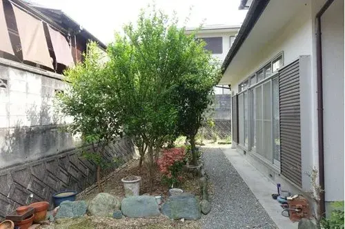 Slide 3