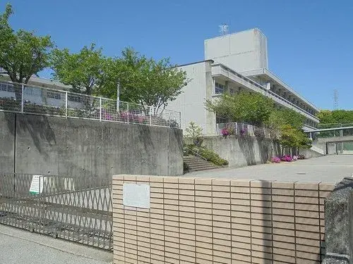 Slide 5
