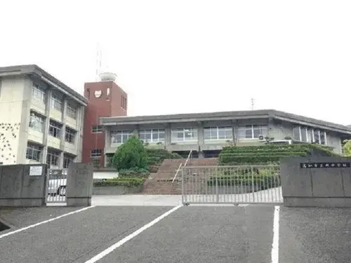 Slide 3