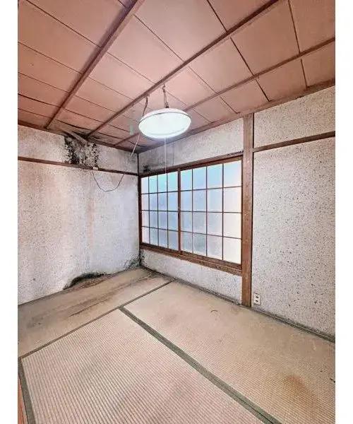Slide 8