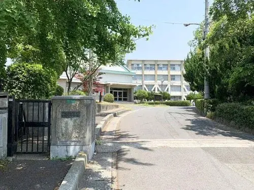 Slide 12