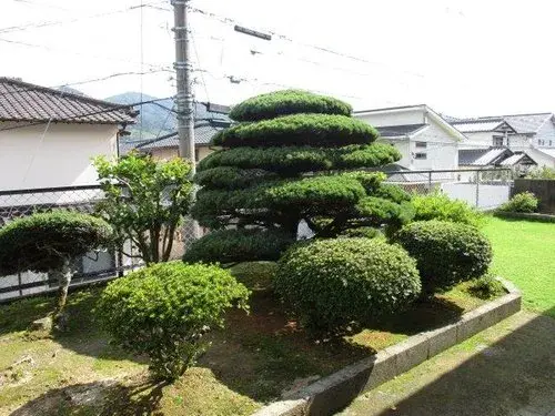 Slide 3