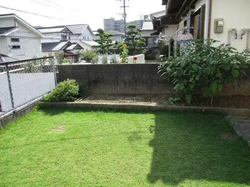 Slide 6