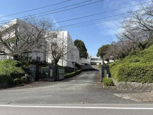 Slide 1