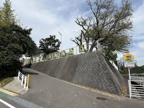 Slide 12