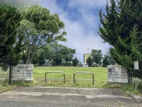 Slide 4