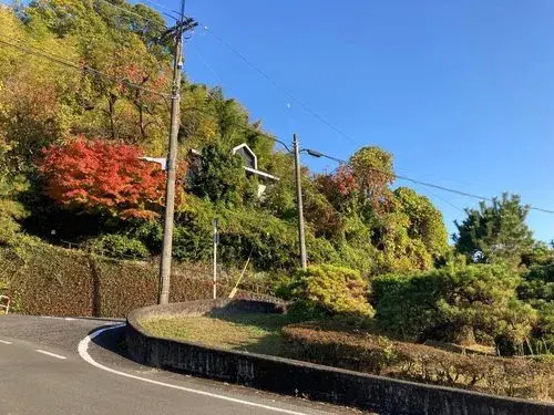Slide 0