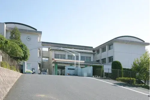 Slide 8