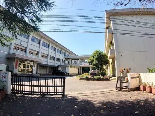 Slide 17