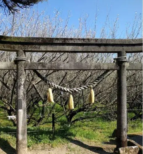 Slide 5