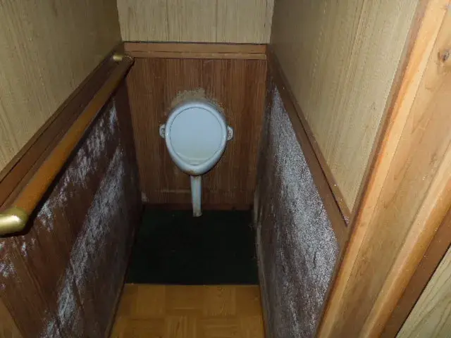 Slide 6