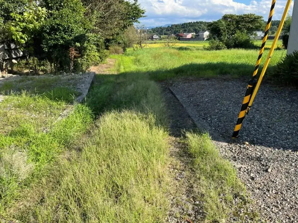 Slide 4