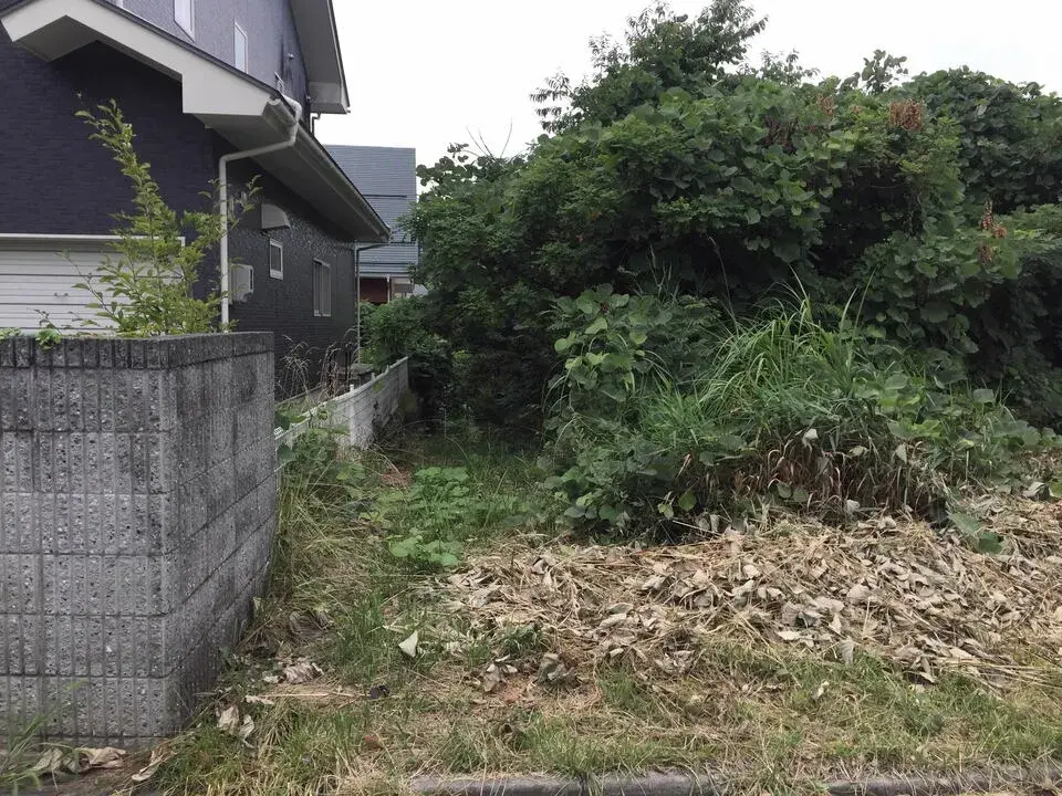 Slide 0