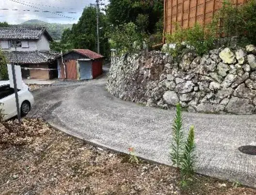 Slide 2