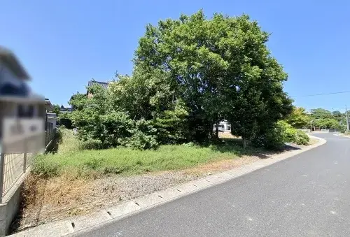 Slide 6