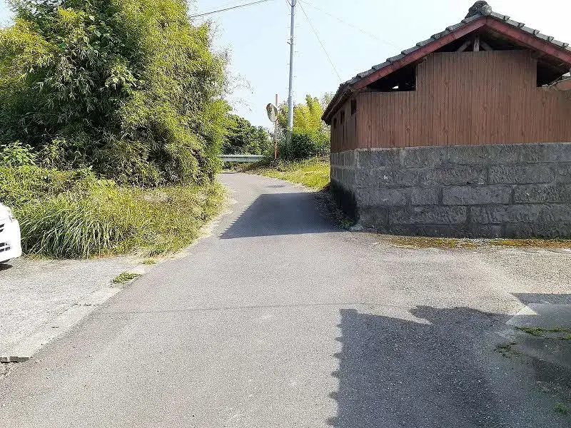Slide 5