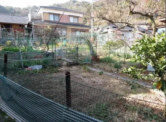 Slide 11