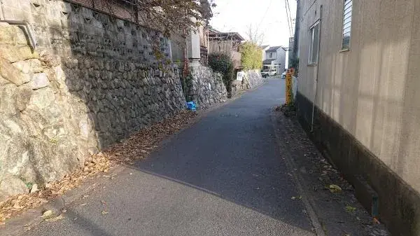 Slide 5