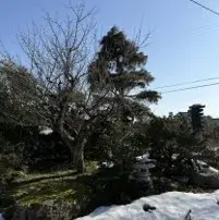 Slide 23