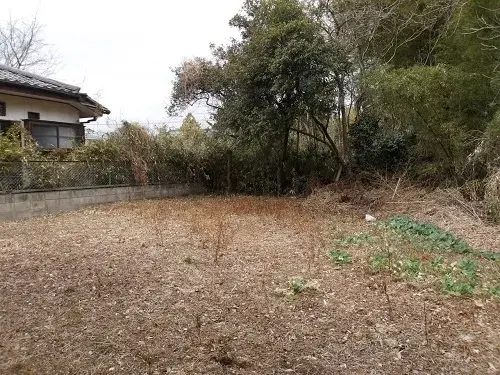 Slide 4