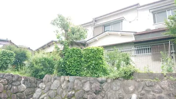 Slide 6