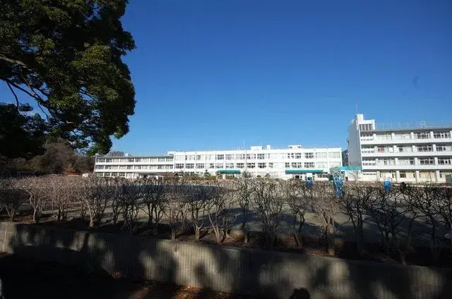 Slide 22